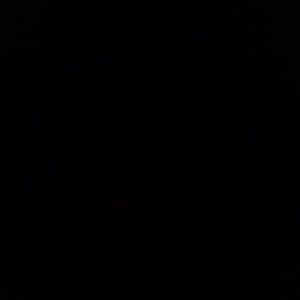 Meet your Posher, Henry